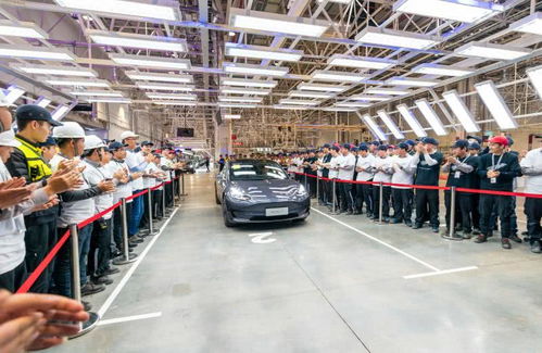 電動防爆車見證浪漫 首批國產(chǎn)特斯拉Model 3交付現(xiàn)場車主求婚